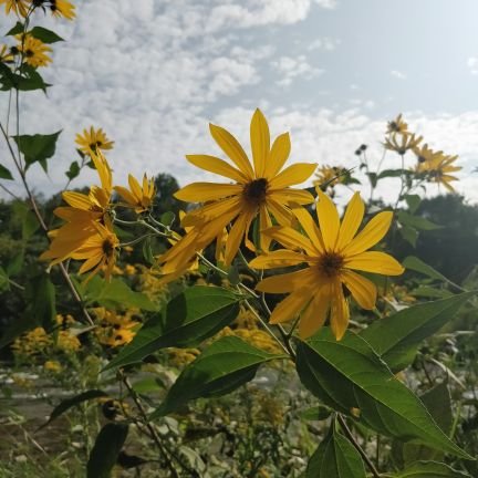 allisontayxxx's profile picture. D💙•Take me with you when you go,
to be with you is all I know•