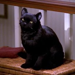 Morticia Addams enthusiast 🐈⬛✨🔮 Favorite builds, creators and cc below #Sims4