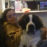 Pau_lineaire's profile picture. Docteure vétérinaire 🐶🐱 / Assistante hospitalière neurologie / 27yo / |-/ ❤️🖤 / X.XI / 🗝🐝🗡