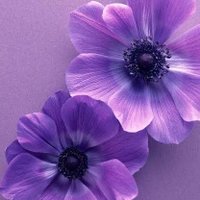 T (@kathiukei) 's Twitter Profile