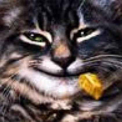 yan_toni's profile picture. an ordinary cat :D from the ordinary world ...