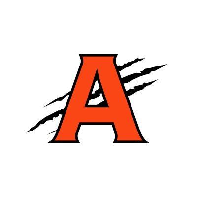 Anderson Cheerleading Profile