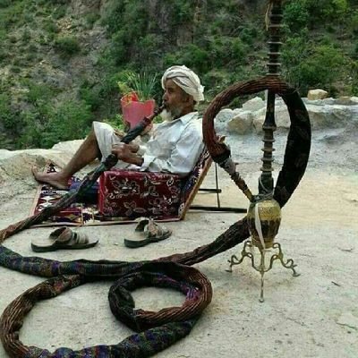 Yemen Country Life, Ph.D.