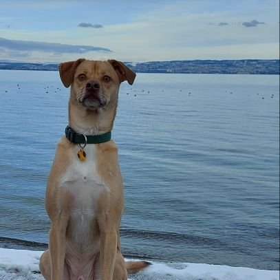 bagard_fanny's profile picture. 