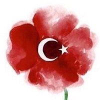 Mithat Abakan (@mithat_abakan) Twitter profile photo