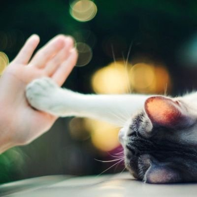 design_hu's profile picture. You are so unique.