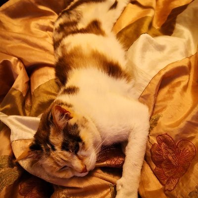 sognatrice che sogna di diventare una grande scrittrice. scrittrice che sogna di diventare una grande viaggiatrice. viaggiatrice che sogna.