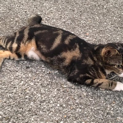 JOKM38's profile picture. 