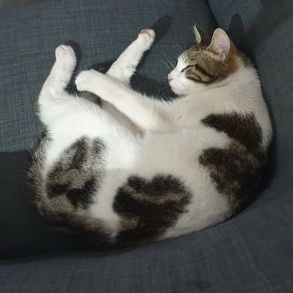 SAirmax3's profile picture. mon hangouts
seb aimax3

mon skype
seb airmax3

mon snap 
seb airmax
venez me parle les filles