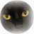 mofu_mofurin's profile image