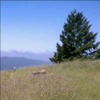 cgsgsmom's profile picture. 