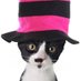 ThePlayfulPetSitter (@loveleashnlicks) Twitter profile photo ThePlayfulPetSitter (@loveleashnlicks) Twitter profile photo