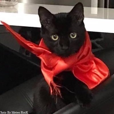 chrismeteorock's profile picture. ....................