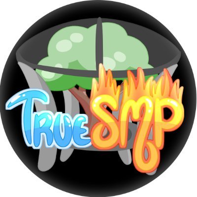 A lore based Minecraft SMP | An interactive and changing world | A goal to have 100+ creators both big and small! #UncoverTheTruth #TrueSMP

MARCH 6th!!!