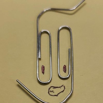 Jorge41944764's profile picture. Cybersecurity Engineer @ Lincoln