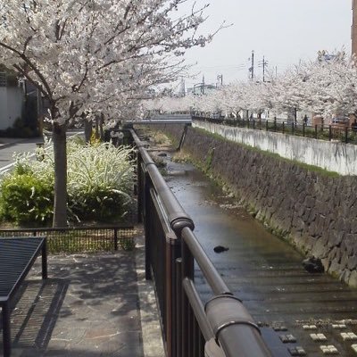 iFTs86FfPhbqQih's profile picture. 訪問ありがとうございます 兼業トレーダー FXは2010年6月10日に口座開設 #せつやくドル円 #せつやく株式投資 役に立たない情報
を配信 たまにトレードの模様も 前沢さんの 
#お金配り 憧れ #せつやく当選報告 #懸賞 #プレゼント企画🎁 #せつやくプレゼント企画🎁 #せつやく当選結果 クイズとともに⬆️