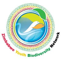 Zimbabwe Youth Biodiversity Network(@zybn_cbd) 's Twitter Profile Photo