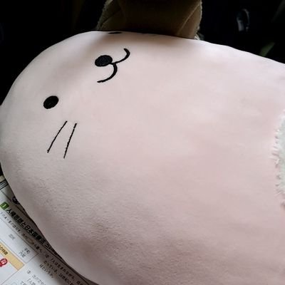 ｺﾉﾒ❁⃘*.ﾟさんのプロフィール画像