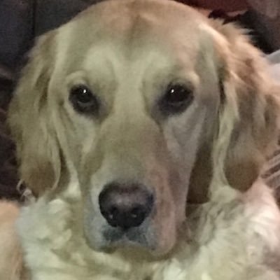 pushy99's profile picture. Life is too short to waste your energy on the little things go for the BIG challenges it is much more rewarding.