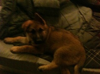 cbcplayer's profile picture. 