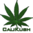 CaIikush's profile image