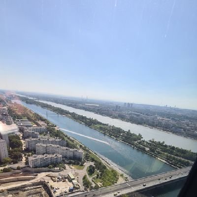 Daniel42197496's profile picture. 