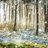 Ladyhawke1992's profile image
