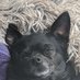 Rutherford B. Crazy (@beefysnacks) Twitter profile photo Rutherford B. Crazy (@beefysnacks) Twitter profile photo