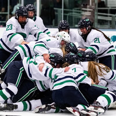 Official Twitter account for Gulls Women's Ice Hockey! #GoGulls #ECWIH