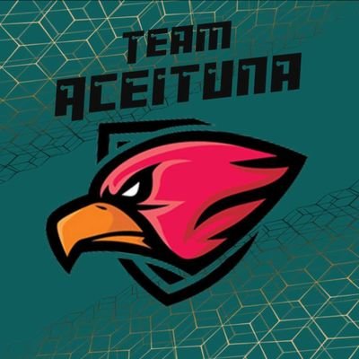 Team Aceituna Profile