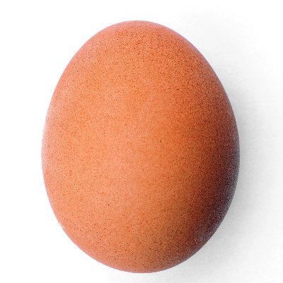 egg