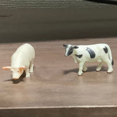 発信は平日中心です🙇♂️休日は家族の時間を最優先、でも教師修業も続けます🔥執筆、登壇依頼、大歓迎。DMください✨人生を救ってくれた本『子供を動かす法則』『授業の腕をあげる法則』‼️
