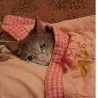 Margareth34444's profile picture. 