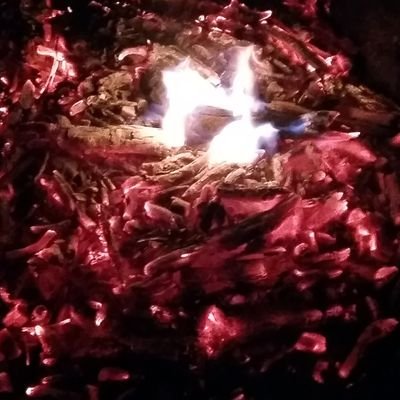 treeoflife77777's profile picture. 