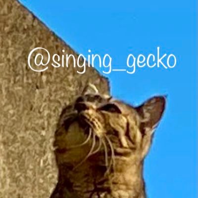 singing_gecko Profile Picture