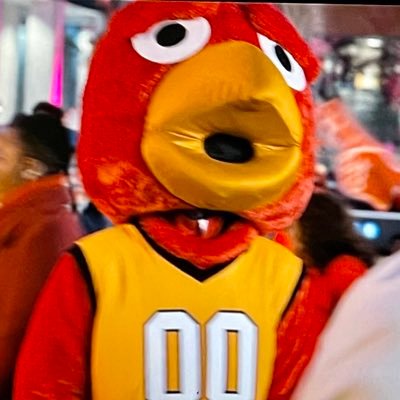 SJUBB Profile