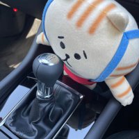 とうふや (@nekonosuke5656) 's Twitter Profile