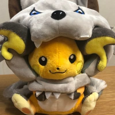 タコイルカさんのプロフィール画像