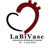 LaBiVasc(@labivasc) 's Twitter Profile Photo