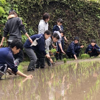 こんにちは!私たちは小豆島中山地区の棚田の保全活動を行っています。香川大学の夢プロジェクトの1つです。Instagramもやっているので良かったらチェックしてみてくださいね😁💕↓↓