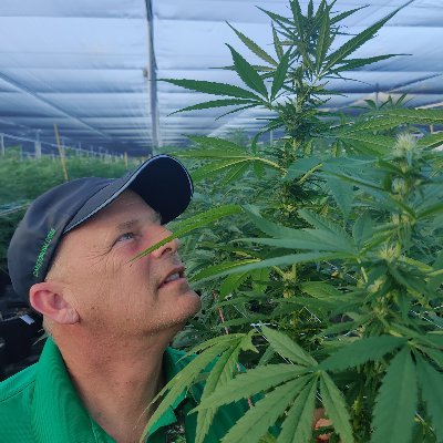 Cannabis Entrepreneur