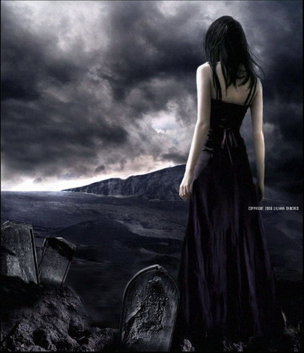 shulachuka's profile picture. 