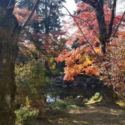momoさんのプロフィール画像