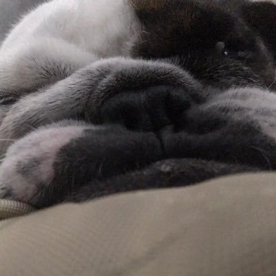 dyenna27's profile picture. ♫