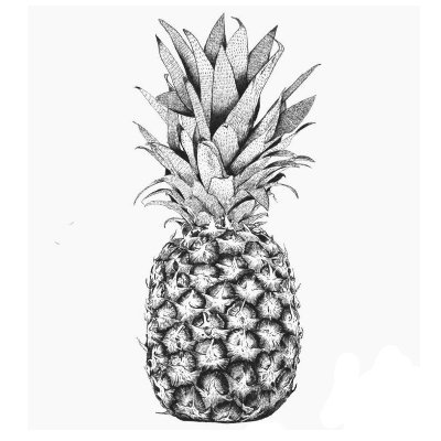 unfiltered_bp's profile picture. Producing digital trash with zero waste.