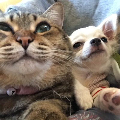 OqXQcsd2BWvulMn's profile picture. 