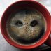 Anda Pūce 🦉 (@andapuce) Twitter profile photo Anda Pūce 🦉 (@andapuce) Twitter profile photo