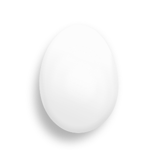 WhiteSnowRoseJp's profile picture. 趣味：料理 / 家事手伝 / 日本語教師（休業中） / 修士 / 配偶者、子１人  / 海外（2001~2008） / 
子ども医療関係のツイートが多くなるかも