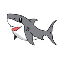 Irukandji Shark & Ray Encounters(@Irukandji_Shark) 's Twitter Profile Photo