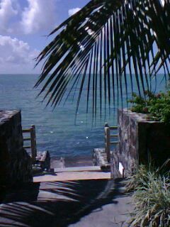 Cocobelly23's profile picture. 